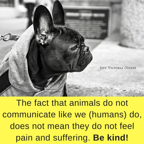 Save the Sparrows! - Picture 10 of 11